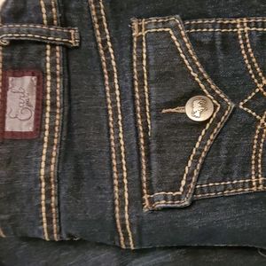 Earl Jean Blue Skinny Jeans